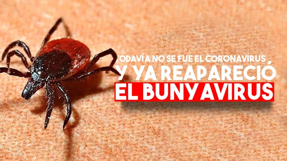 Reapareció un virus mortal en China