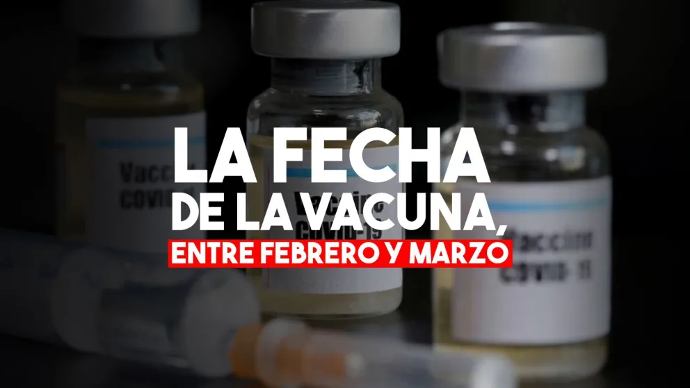 El Gobierno espera aplicar la vacuna contra el Covid 19 entre febrero o marzo
