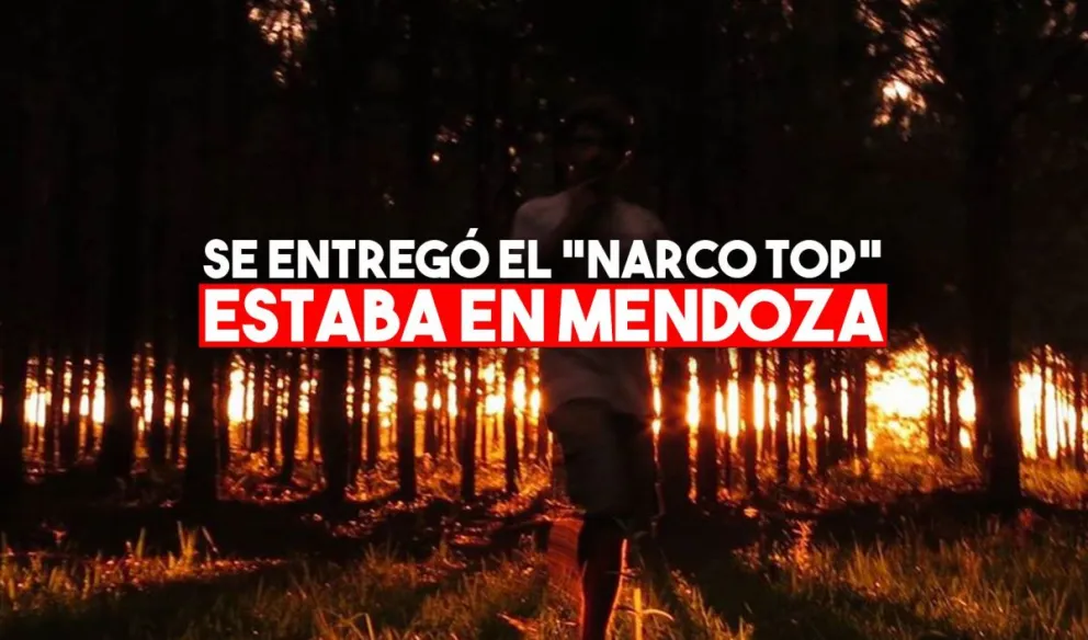 Se entregó Matías Frau, acusado de tener una megaplantación de marihuana