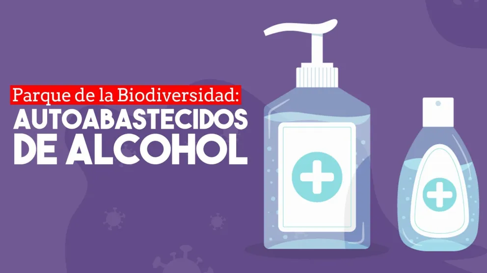 Desde el Parque de la Biodiversidad producen hasta 100 litros de alcohol en gel por día