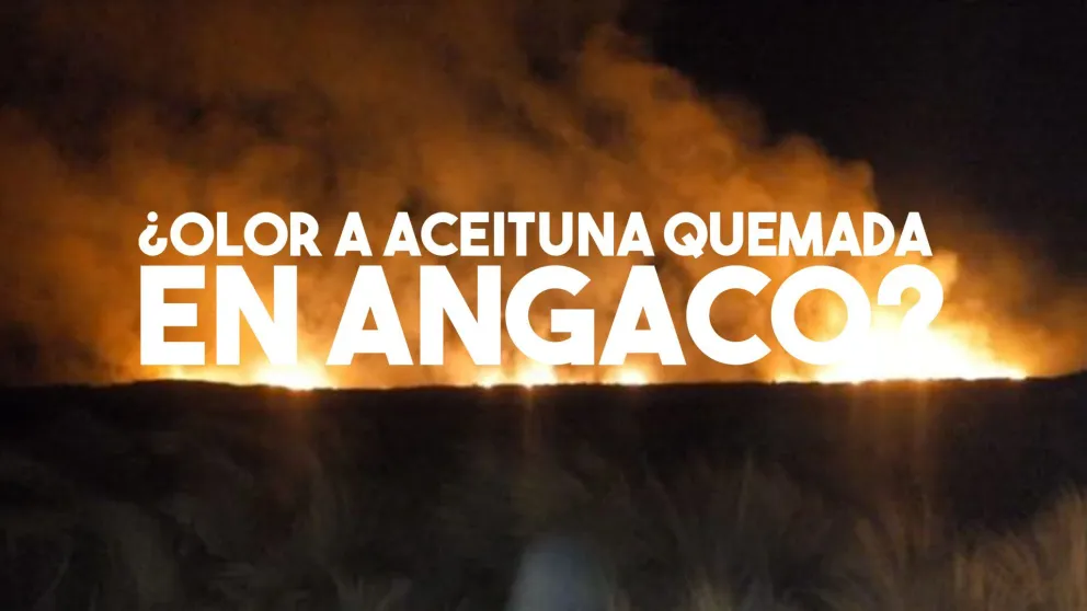 Una hectárea de olivos se incendió en Angaco