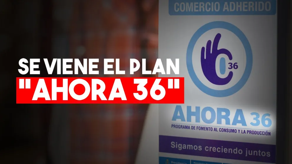 Lanzarán el plan Ahora 36 para incentivar el consumo y reactivar la industria nacional