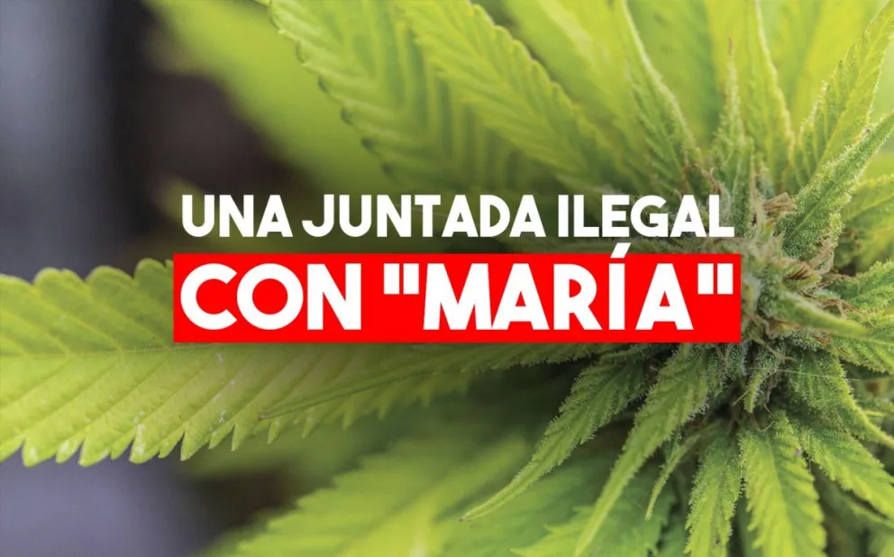 Los detuvieron por una juntada ilegal y les encontraron plantas de marihuana
