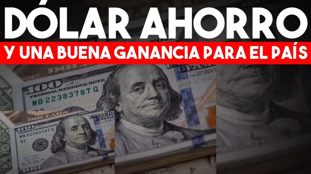 El Gobierno recaudó 90 millones de pesos por el impuesto país que le aplican a la compra de dólares