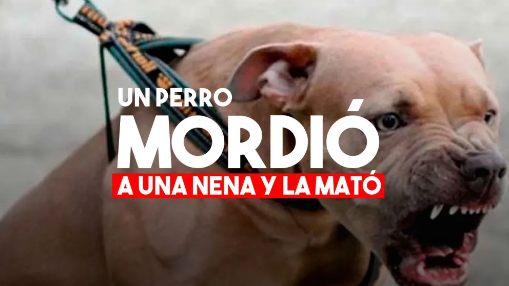 Una nena murió luego de ser atacada por un pitbull