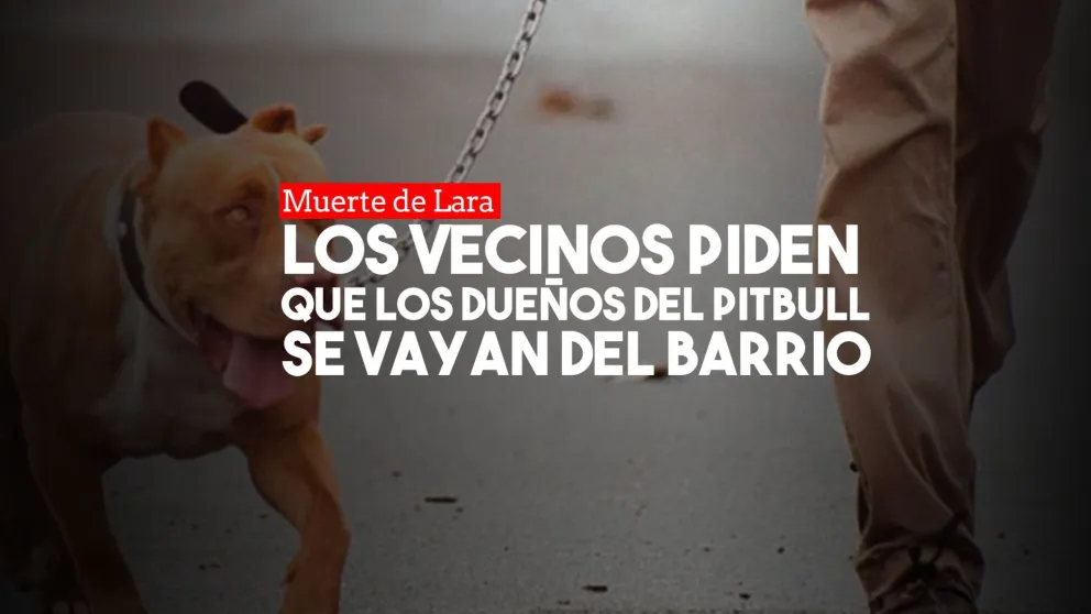 El dueño del pitbull dijo que lo tenía por seguridad y que era amigable con los niños