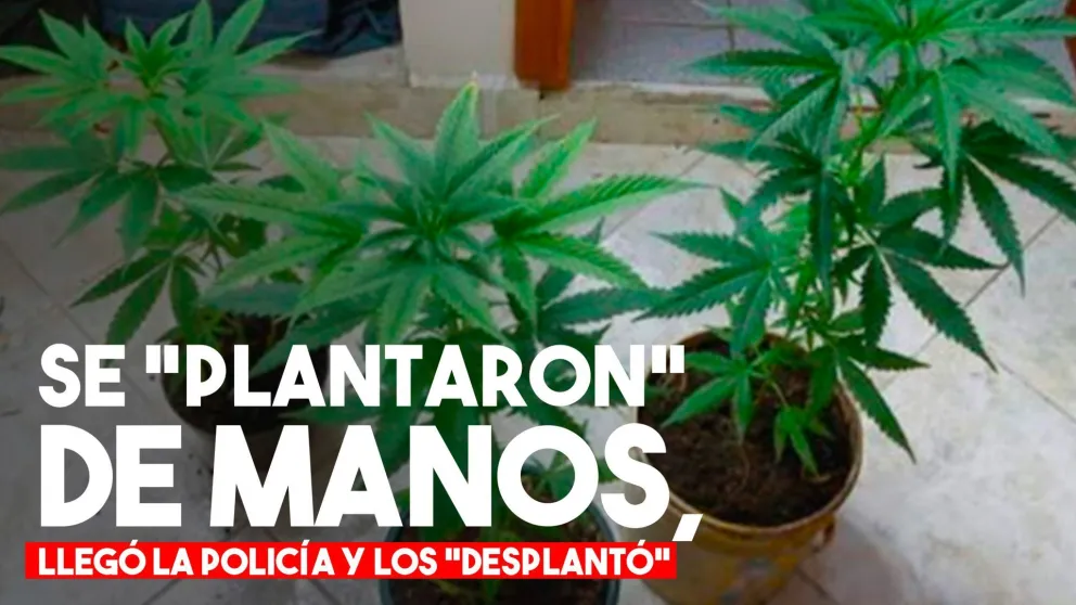 Fueron por una gresca y encontraron droga