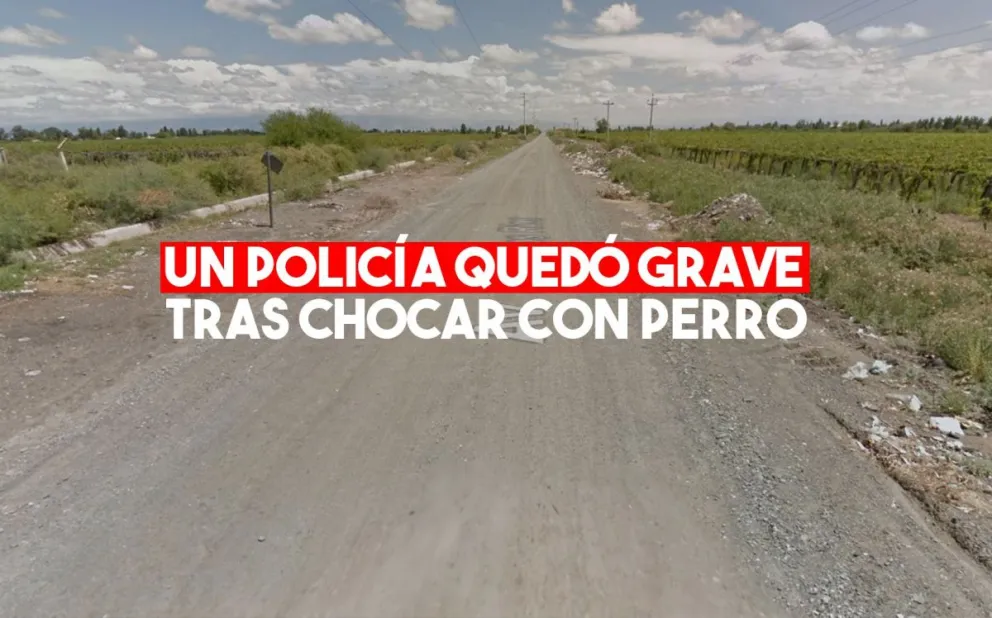Un policía chocó a un perro y está grave