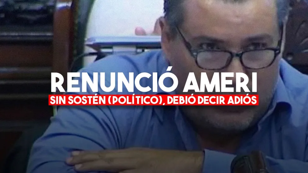 Ameri presentó la renuncia a la Cámara de Diputados y se la aceptaron esta madrugada