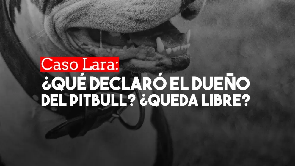 Pidieron la eximición de prisión para el dueño del Pitbull