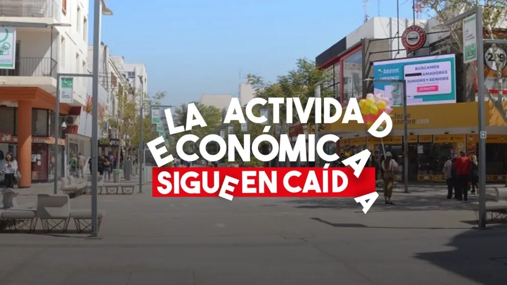La actividad económica cayó 13,2% en julio