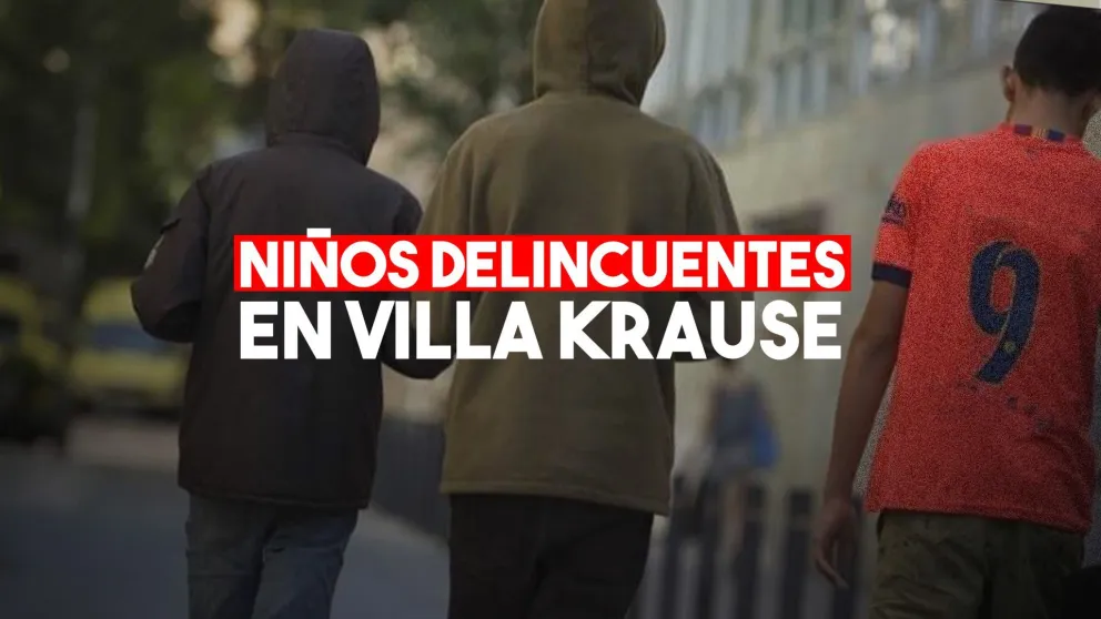 Dos adolescentes quisieron robar en un local de Villa Krause