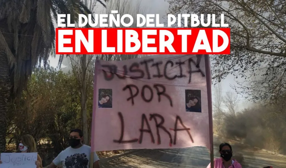 Caso Lara: le concedieron la eximición de prisión al dueño del Pitbull