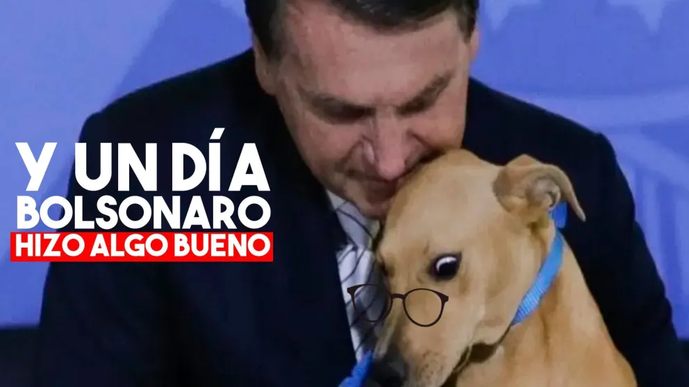 Bolsonaro hizo "firmar" a un perro una ley contra el maltrato animal