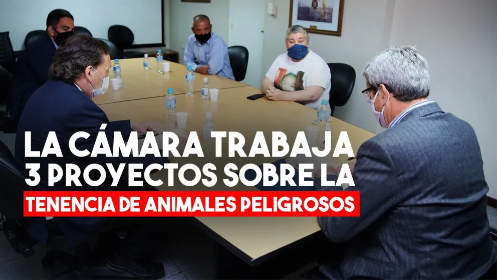 Gattoni recibió a los padres de Lara