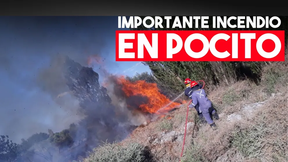 Gran incendio en Ruta 40 y Calle 12