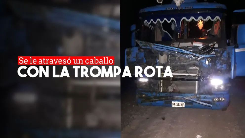 Animales sueltos en la ruta: un camión quedó con el frente destruido