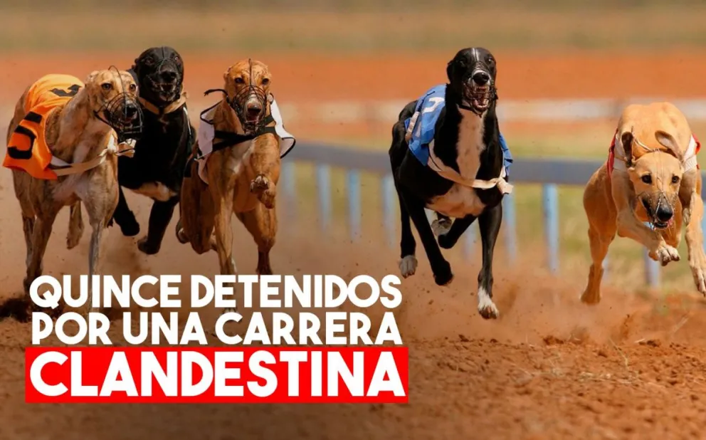 Desbarataron una carrera clandestina de galgos en Sarmiento
