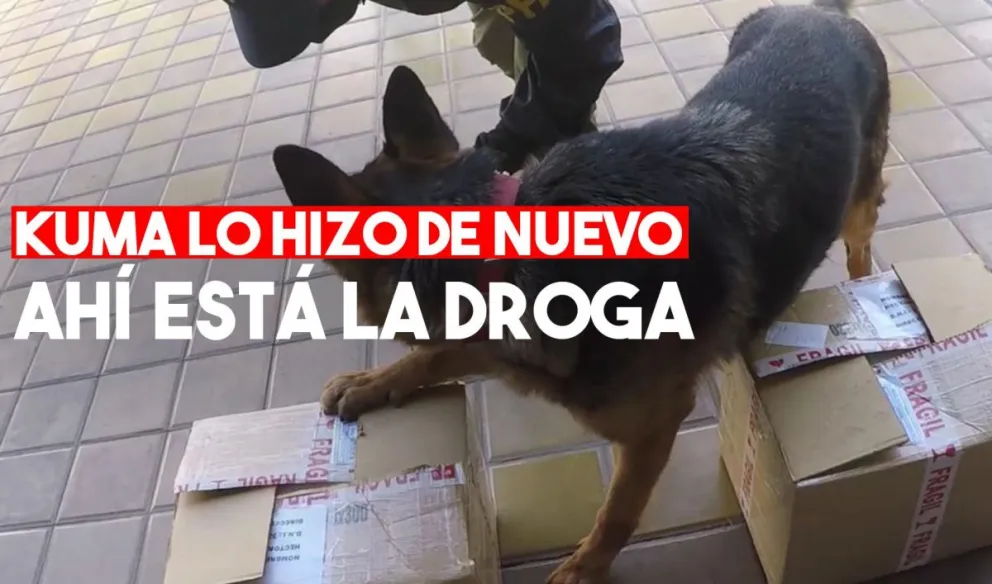 Mirá las fotos del operativo antidroga en el corazón de Villa Krawse