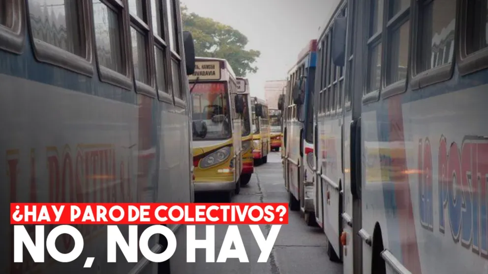 Servicio normal del Transporte Público en San Juan