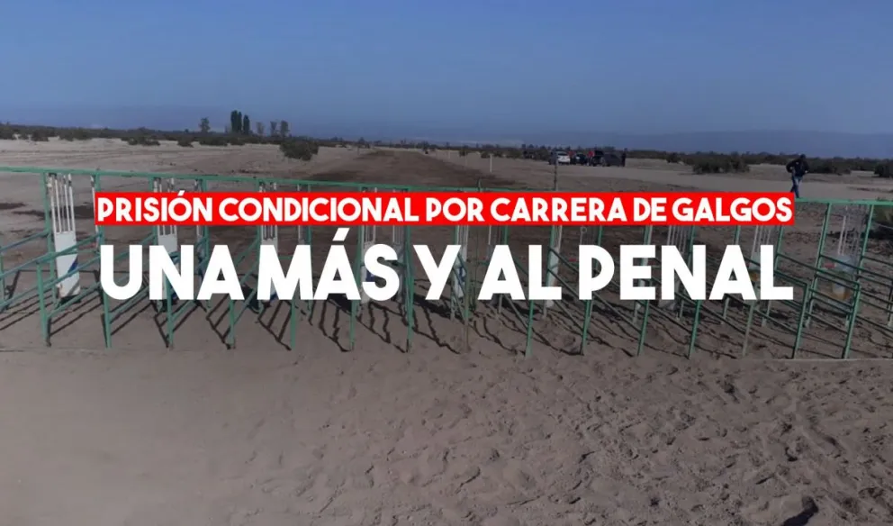 Prisión condicional para los 16 detenidos por una carrera clandestina de galgos