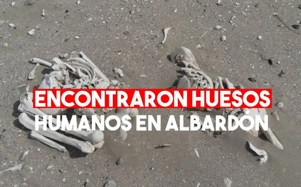 Encontraron restos óseos en Albardón