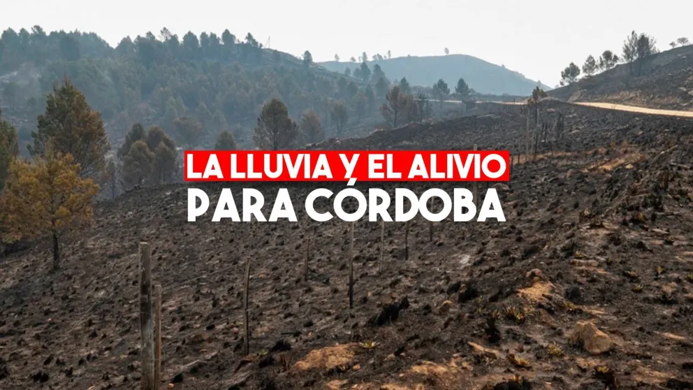 Llovió en Córdoba y después de cinco meses comenzaron a extinguirse los incendios