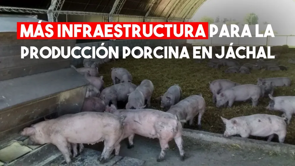Minas Argentinas buscará fortalecer la producción porcina en Jáchal