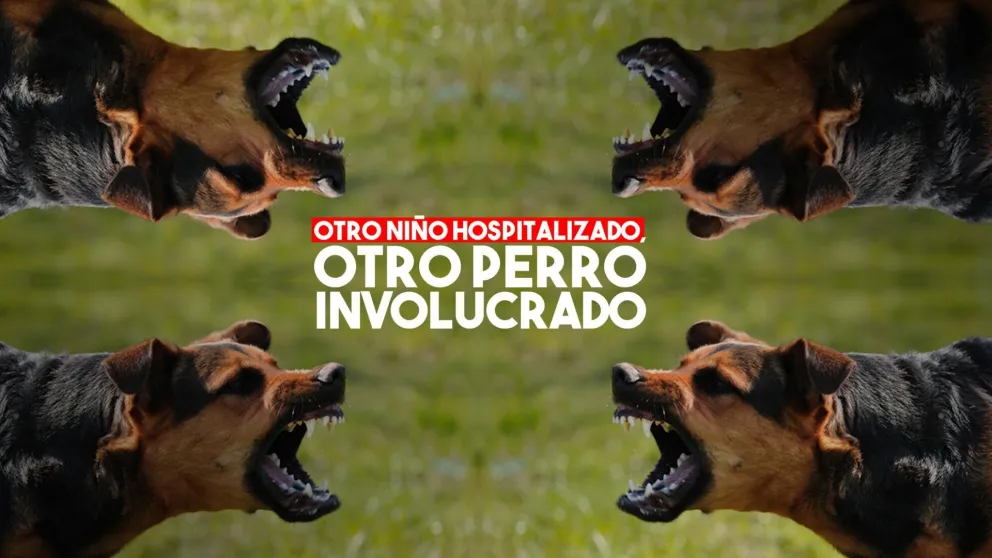 Un niño debió ser hospitalizado tras ser atacado por un perro