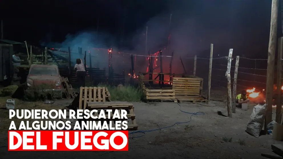 Se les quemaron los corrales y dicen que el 911 no respondió