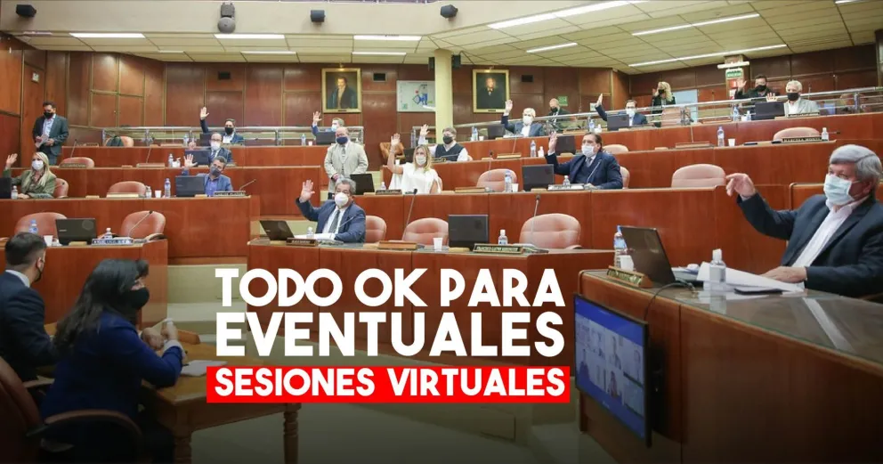 Diputados realizaron un simulacro de sesión online