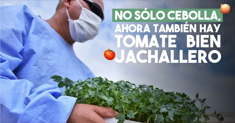Impulsan proyecto de cultivo e industrialización de tomate en Jáchal