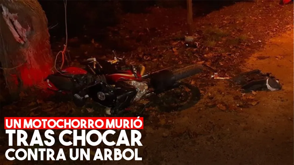 Dos motochorros se estrellaron contra un árbol: uno murió
