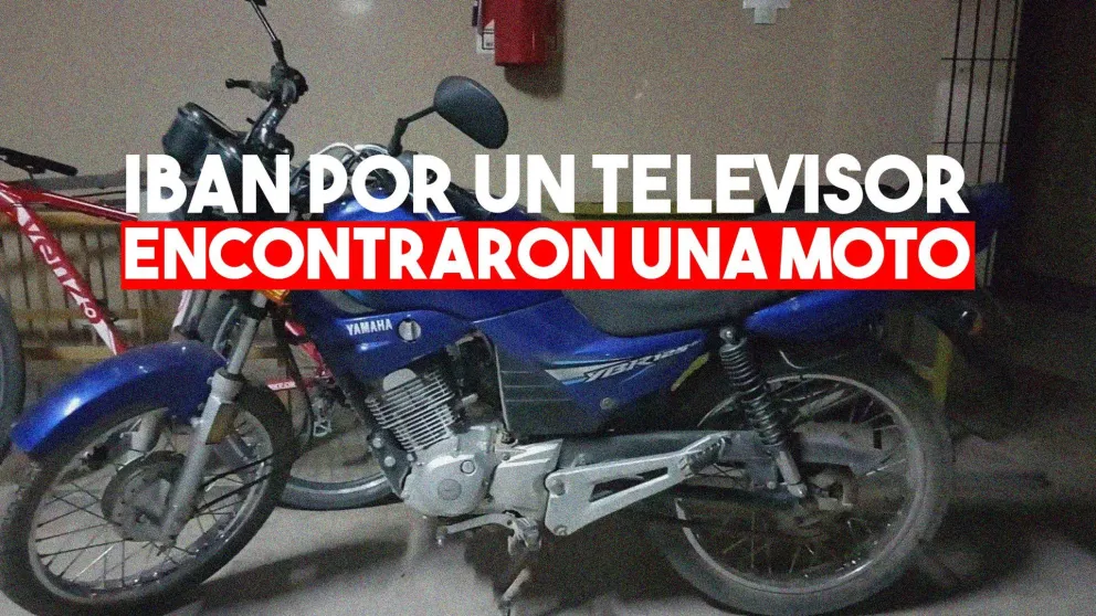 Robaban y "guardaban" todo en un descampado: los descubrieron en una persecución