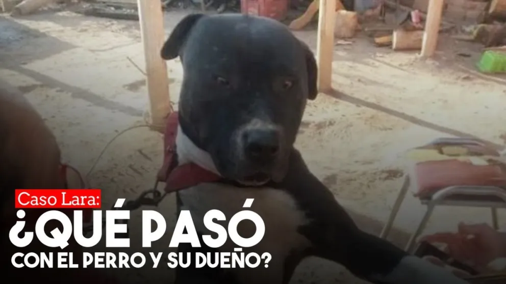 Caso Lara: ¿qué pasó con el perro  y su dueño?