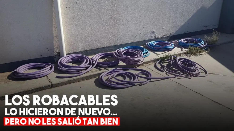 Dos robacables cayeron in fraganti