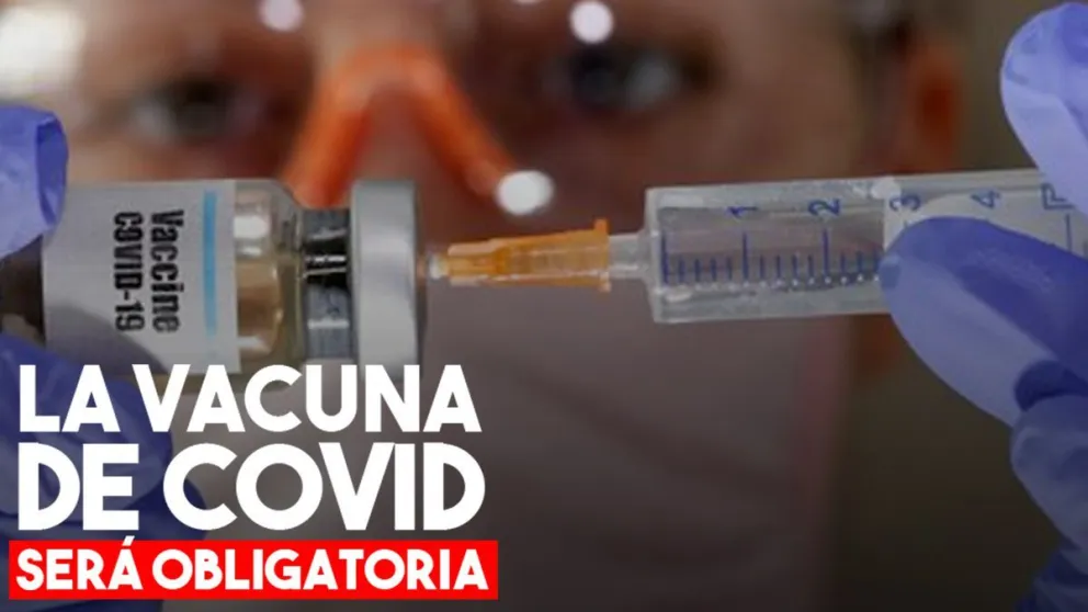 Carla Vizzoti dijo que la vacuna para combatir el coronavirus será obligatoria