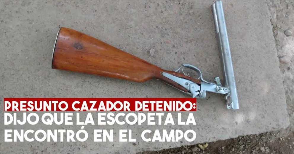 Rawson: buscaban aves autóctonas en cautiverio pero encontraron una escopeta