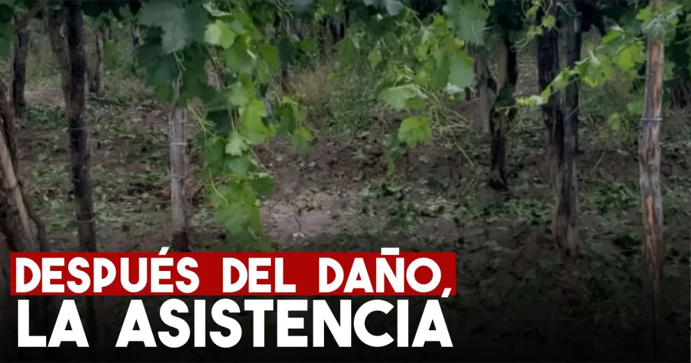 Los productores debieron ser asistidos por los daños que dejó el granizo