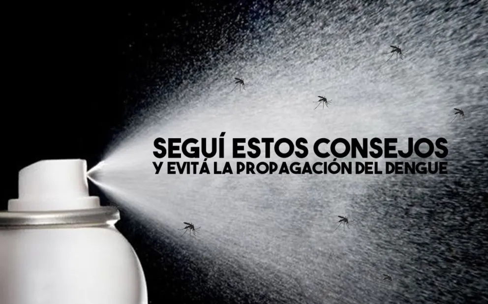 Para evitar el dengue, seguí estas recomendaciones