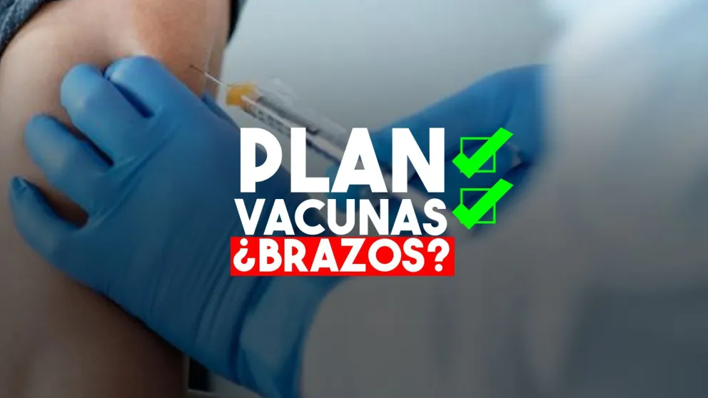 Fernández pondrá en funcionamiento el plan de vacunación