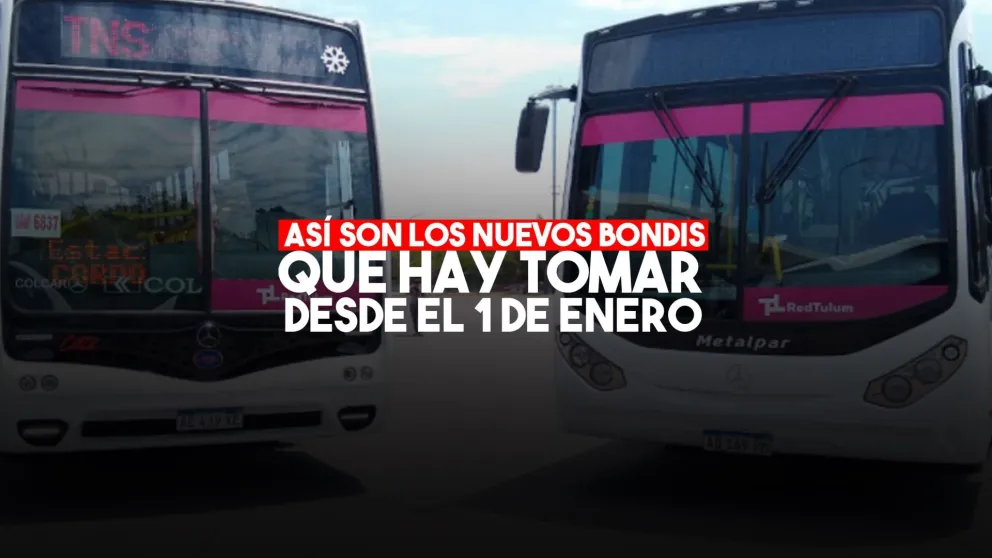 Oficial: así serán los nuevos colectivos de la Red Tulum