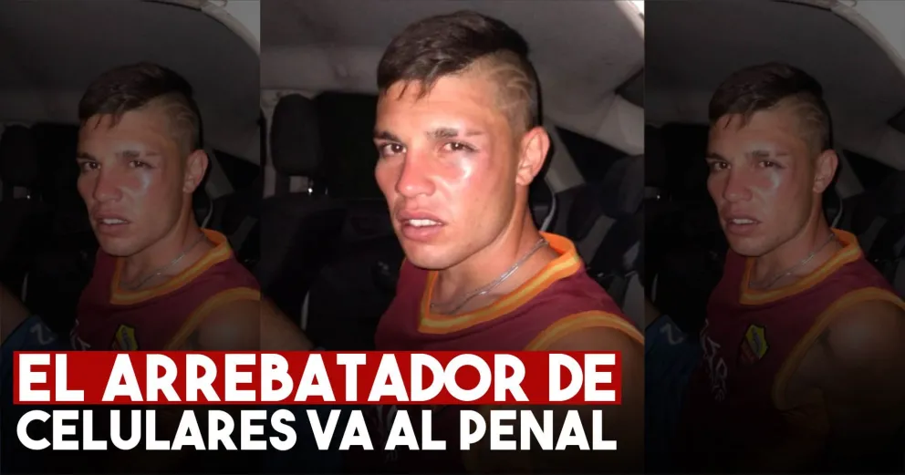 Por una pena anterior, condenaron a 7 años de prisión al ladrón que robó en el colectivo
