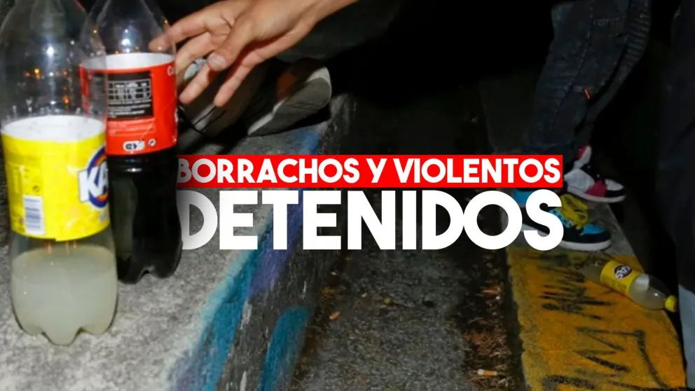 Detuvieron a dos personas por estar tomando en la vía pública y terminaron agrediendo a los policías