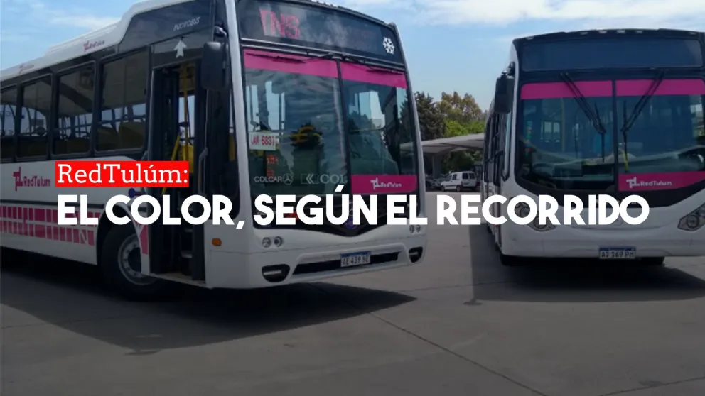 RedTulúm: Así serán los colores de los colectivos según su recorrido