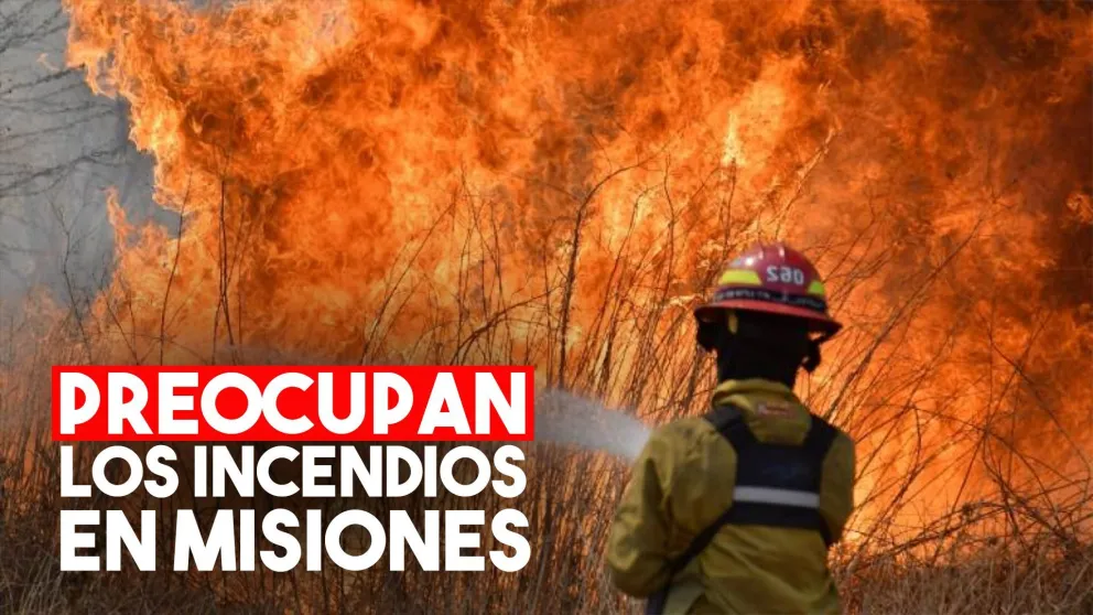 Los incendios llegaron a Misiones y ya se quemaron 100 hectáreas
