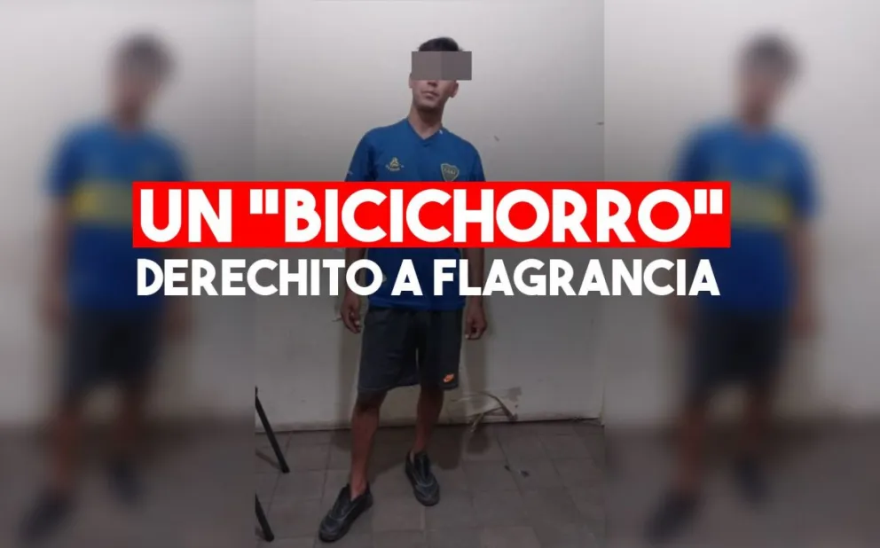 Un “bicichorro” detenido por arrebatar un teléfono en un semáforo