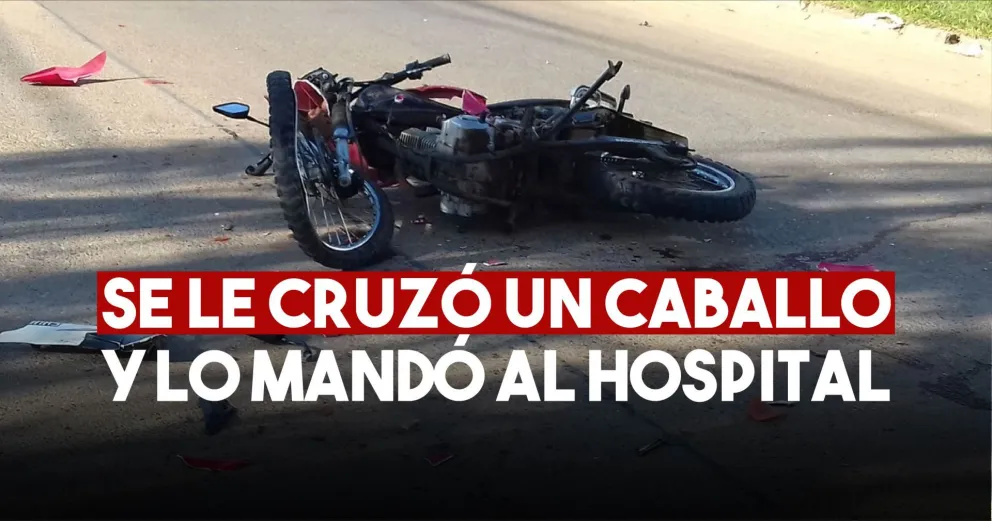 Un motociclista terminó con una doble fractura luego de chocar con un caballo