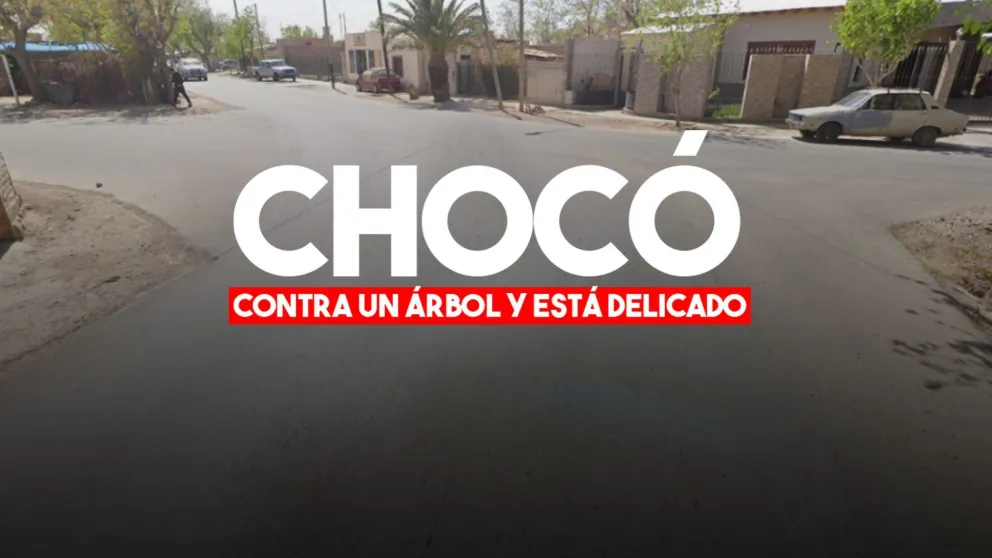 Chocó contra un árbol y quedó grave