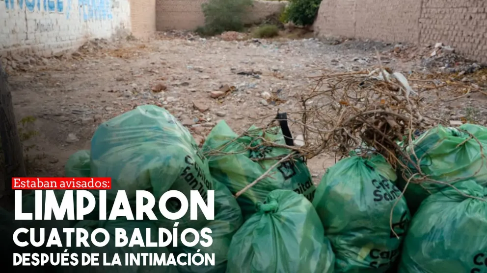 Los propietarios de cuatro baldíos limpiaron sus terrenos